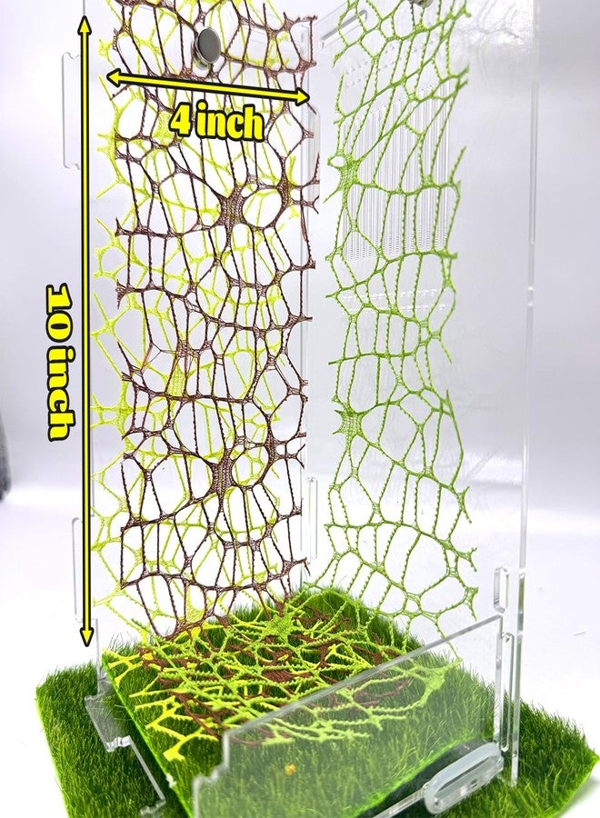 Julang 6 PCS Jumping Spider Enclosure Accessories, 3 Colors Webbed Moss Ribbon with Magnets, for Jumping Spider Habitat Spoods Climbing - Image 5